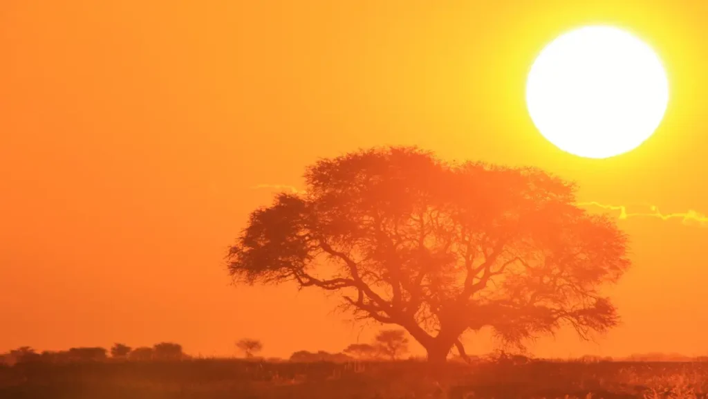 Previsão do tempo na Zona da Mata: Máxima chega aos 31°C hoje, 19 de janeiro