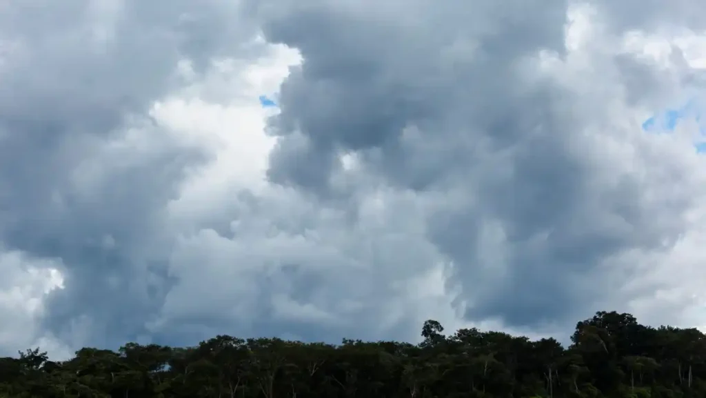 Chuva volta a ganhar força em Alagoas: veja a previsão para Maceió e Zona da Mata até domingo