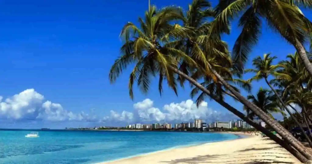 Veja a previsão do tempo para o primeiro final de semana de 2026 na Zona da Mata de AL