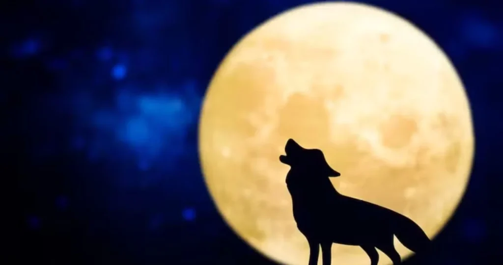 Superlua do Lobo e chuva de meteoros acontecem neste sábado (3)