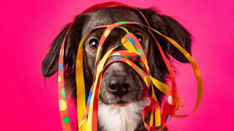 Bloco dos Pets acontece neste sábado (7) em União dos Palmares