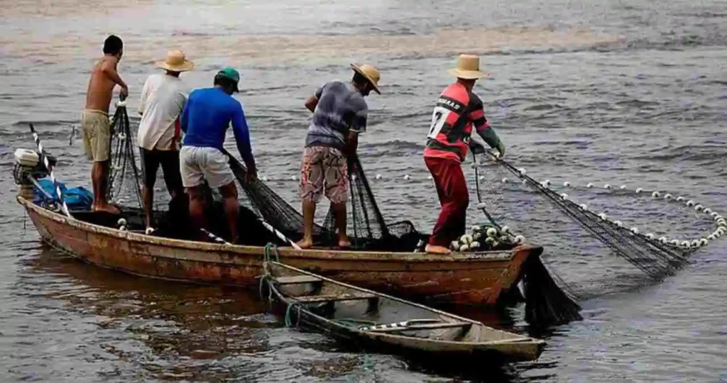 Cinco pescadores estão em pé em uma pequena canoa de madeira em um rio. Três deles vestem chapéus de palha e um usa um boné verde. Eles puxam uma rede de pesca escura com boias brancas para dentro do barco. A água do rio apresenta tonalidades de marrom e azul escuro.