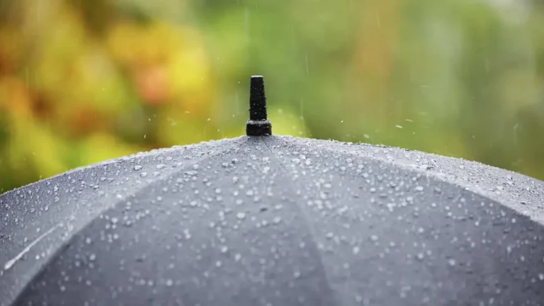 Prepare o guarda-chuva: Previsão indica chuvas isoladas para União dos Palmares hoje