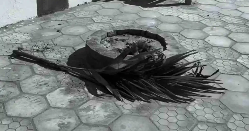 Fotografia em preto e branco de uma área urbana depredada. No chão de blocos sextavados, uma muda de árvore foi arrancada e deixada caída sobre um canteiro circular de pedras. Ao fundo, um banco de madeira está posicionado em frente a uma parede com um grafite de uma mulher (Mestra Marinalva) segurando um pote.